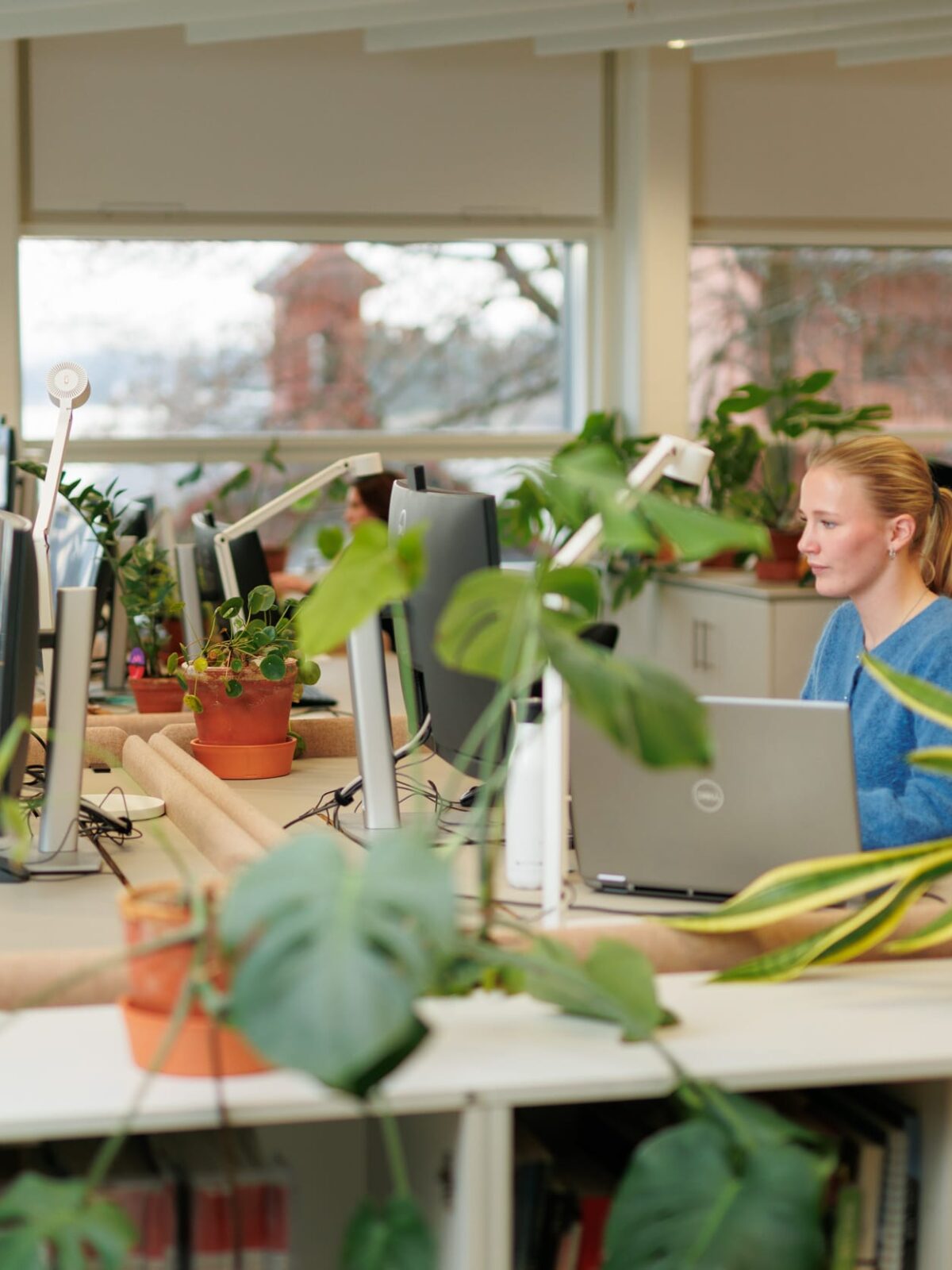 Et kontorlandskap med personer som jobber og flere planter.