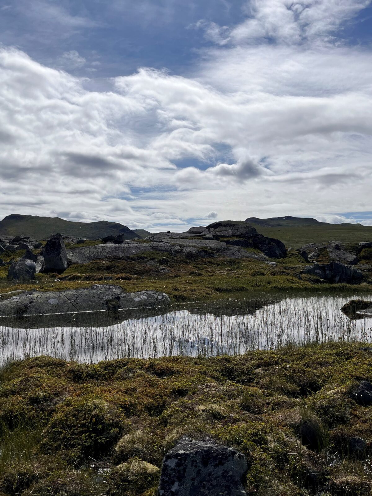 Naturlandskap fra Hardangervidda med et lite vann, stein, mose og fjell i bakgrunnen