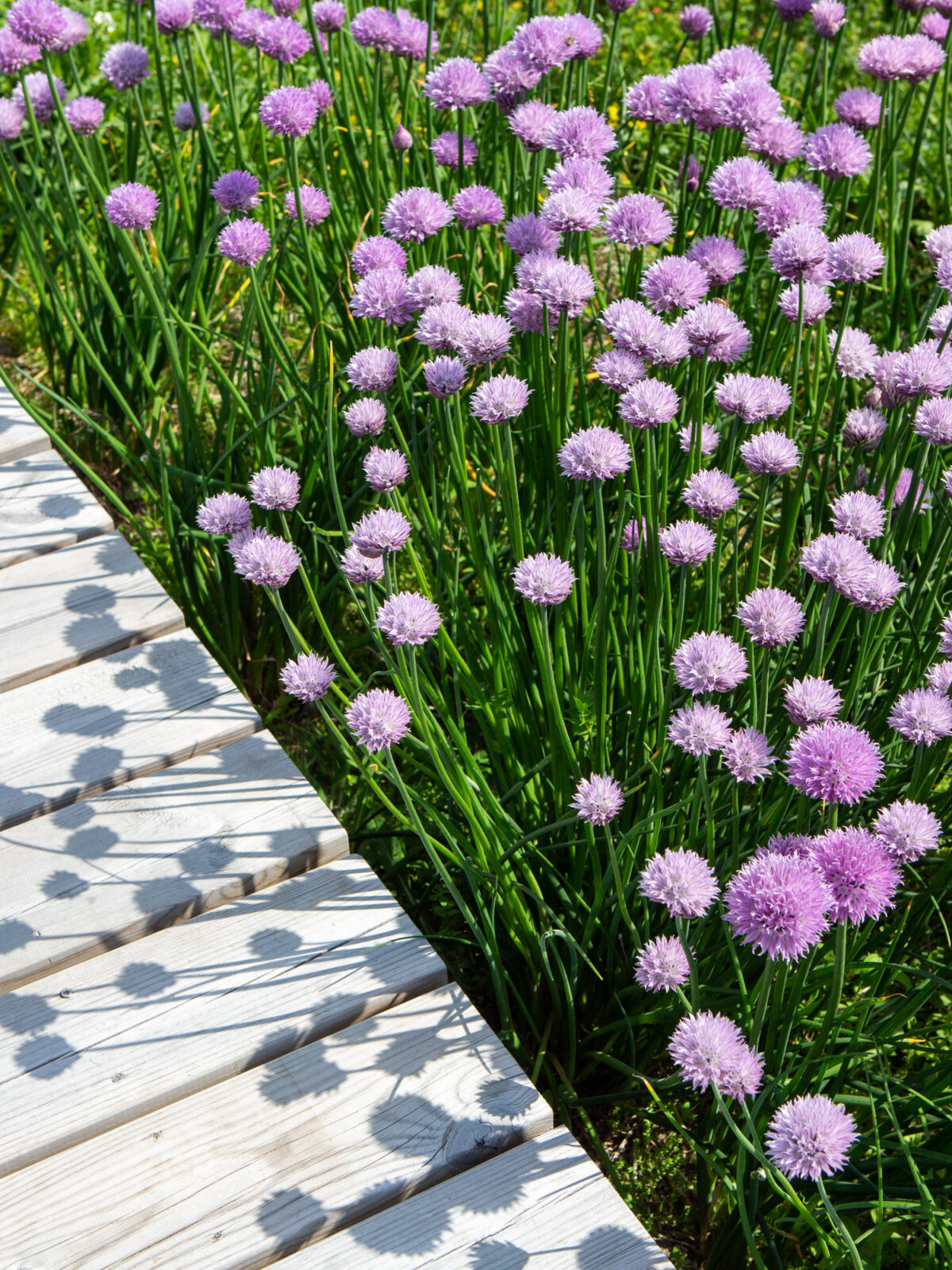 Taket på Vega scene i 2021 (foto: Åse Holte)