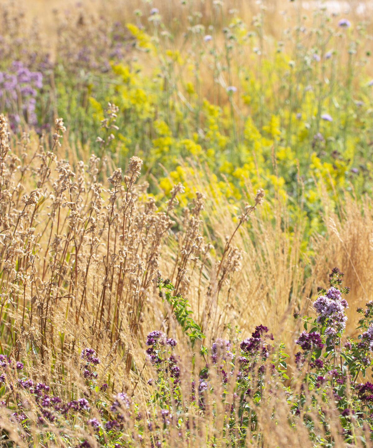 Blågrønt tak Vega Scene