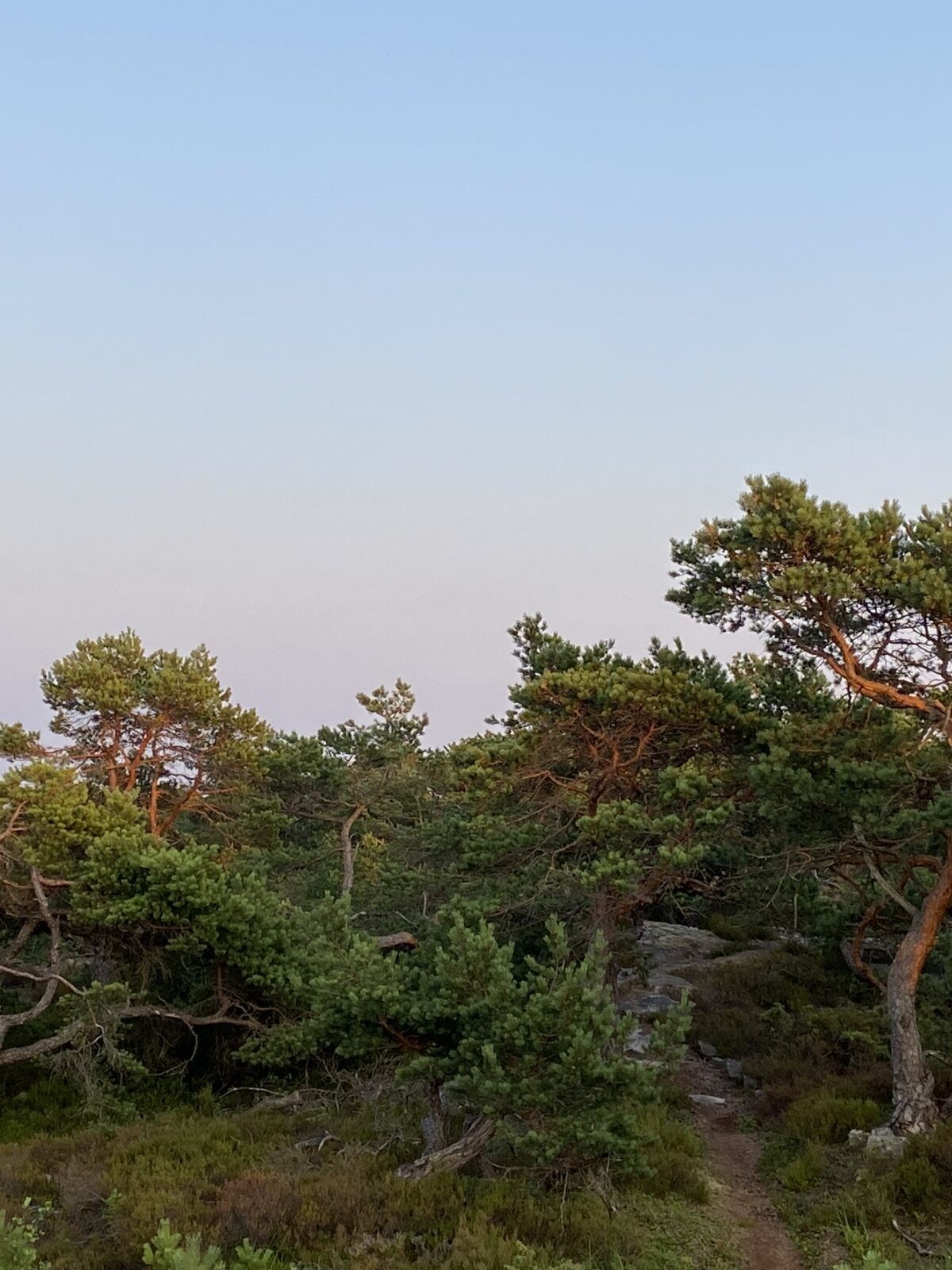 Naturen som hage