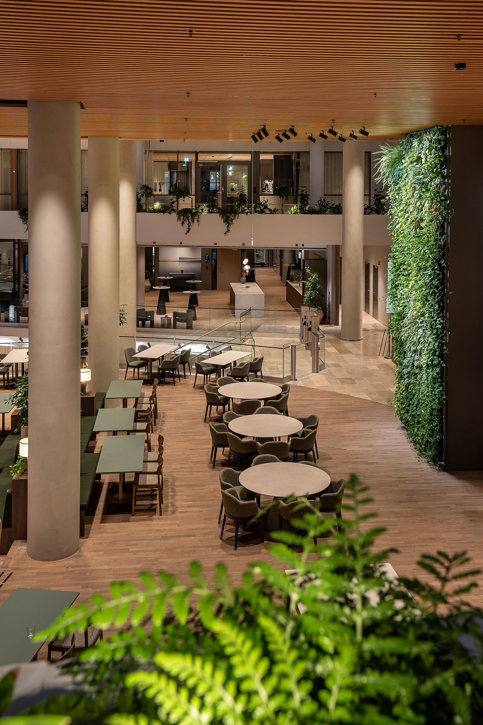Bilde av fellesområde og kantine i Sixa, tatt skrått ovenfra og viser border, stoler og mange grønne planter.