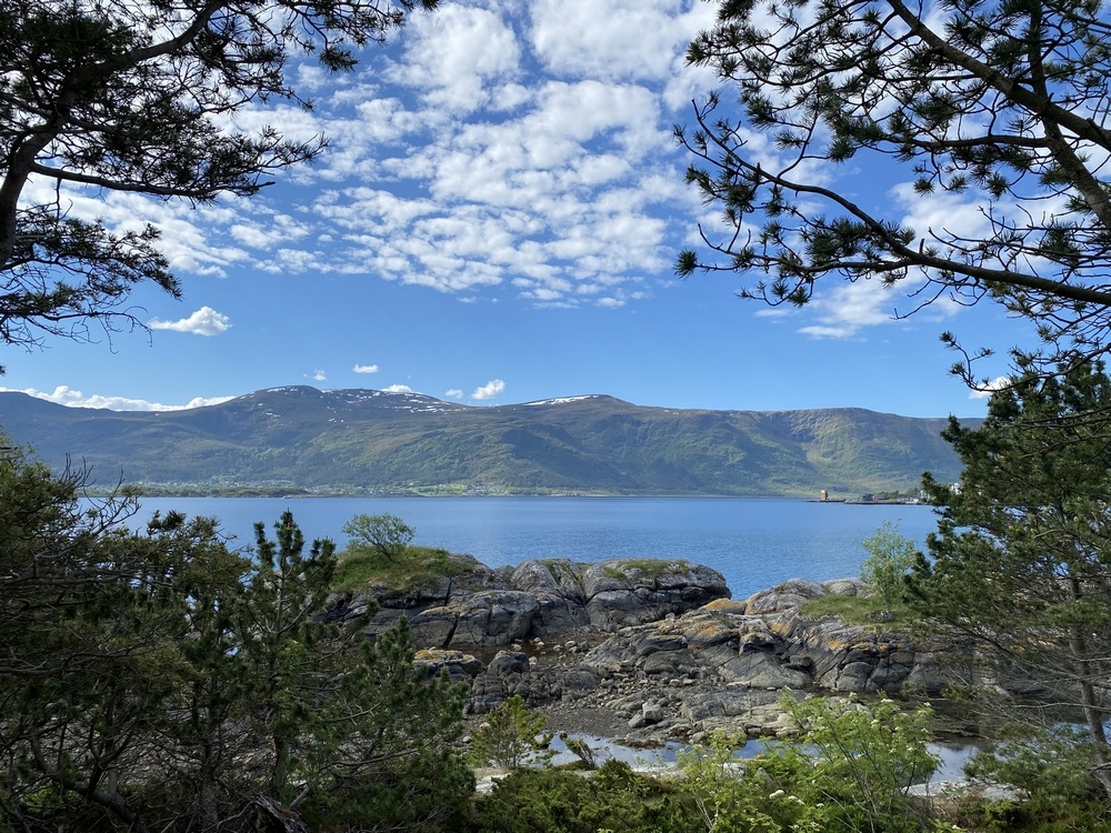 Fra Voldalsneset med trær og utsikt utover sjøen.