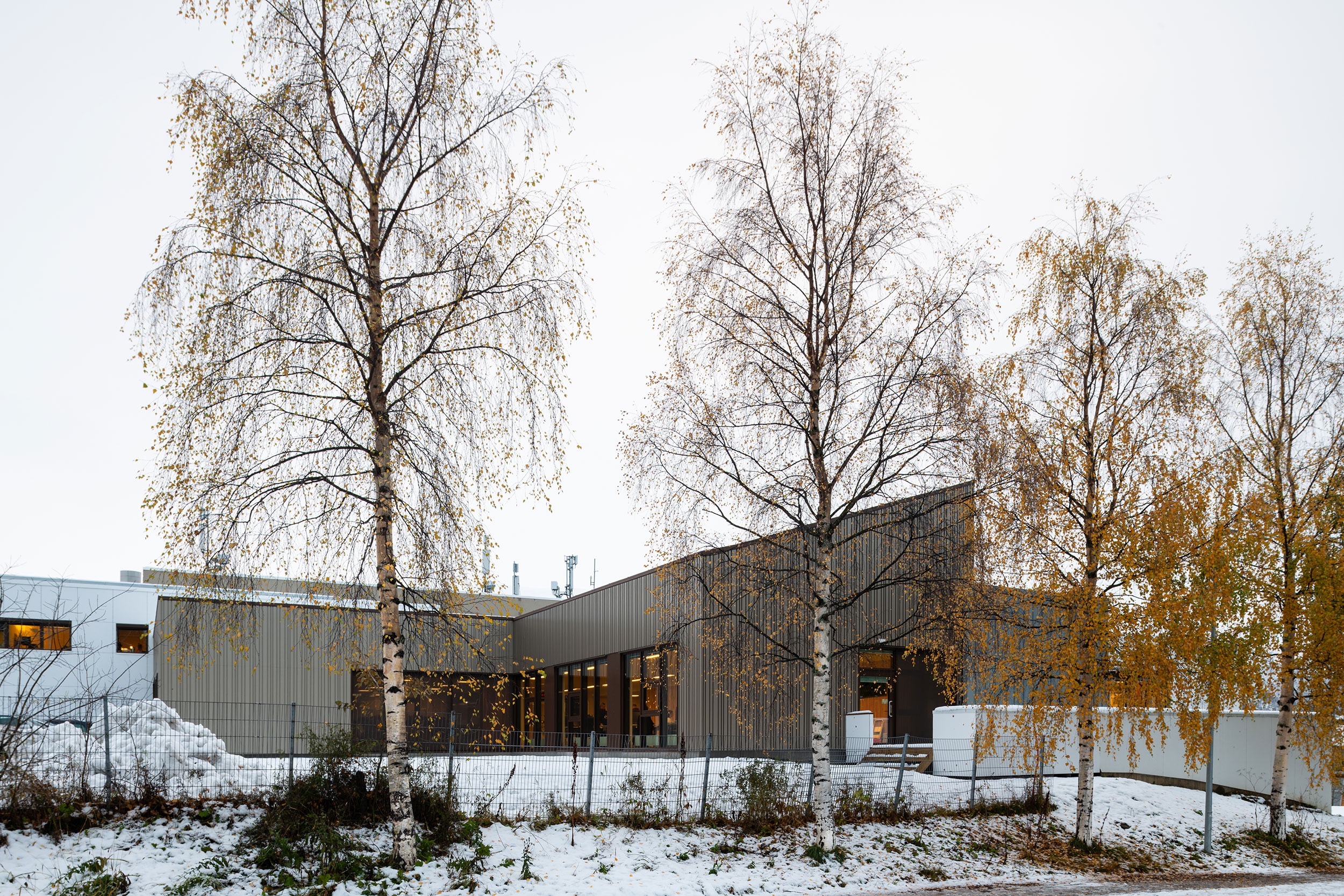 Eksteriørfoto av lokalene til NRK Tromsø på vinteren med bjørketrær i forgrunnen.