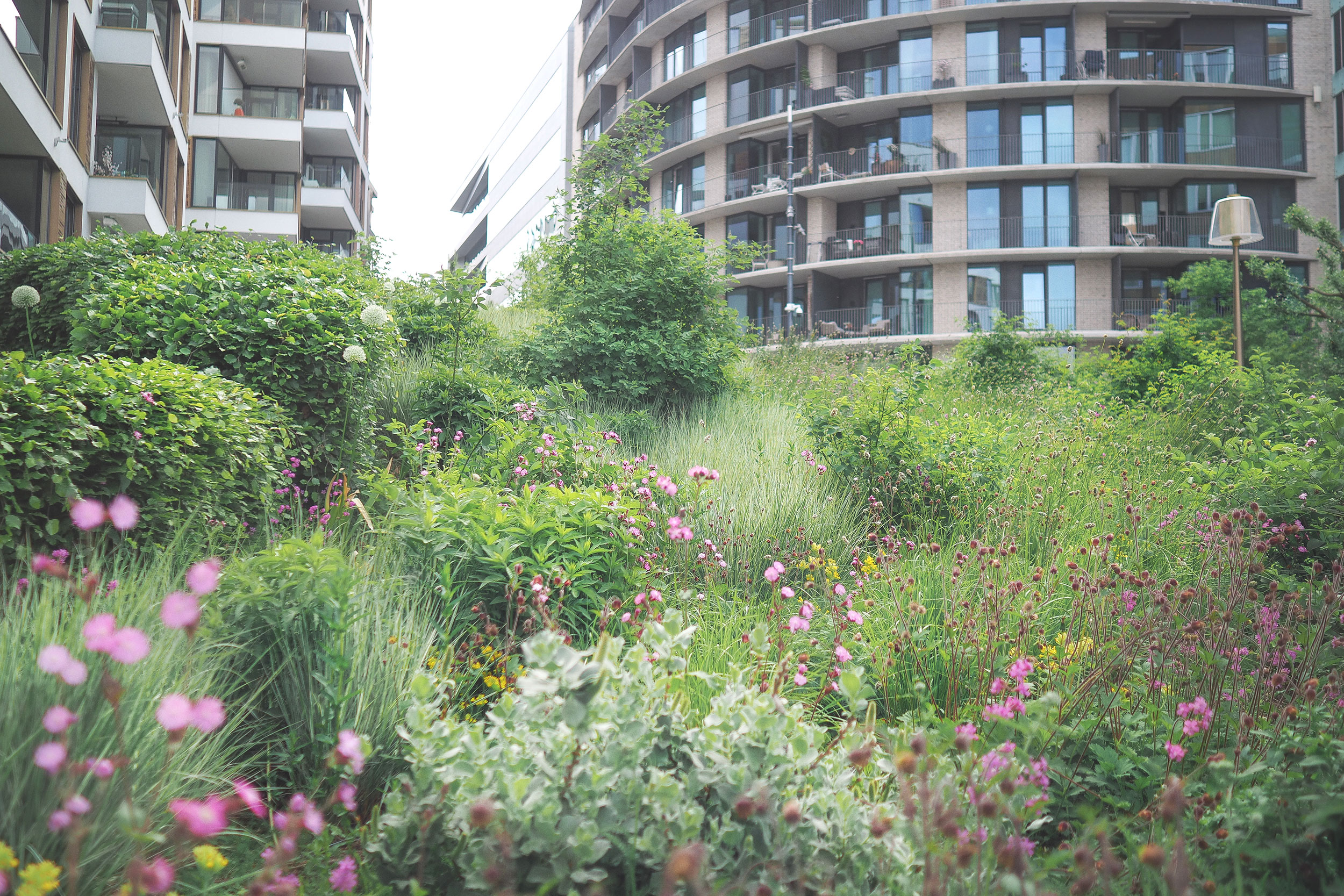 Blomsterbed i forgrunnen med leiligheter i bakgrunnen på Fru Kroghs brygge