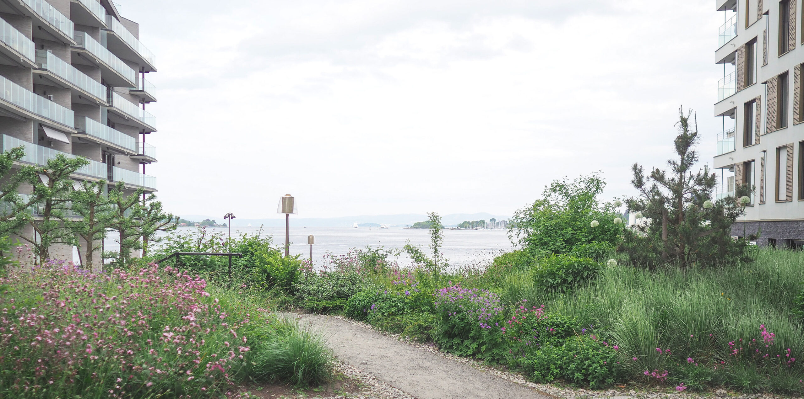 En gangvei mellom blomsterbedene og leilighetene på Fru Kroghs brygge