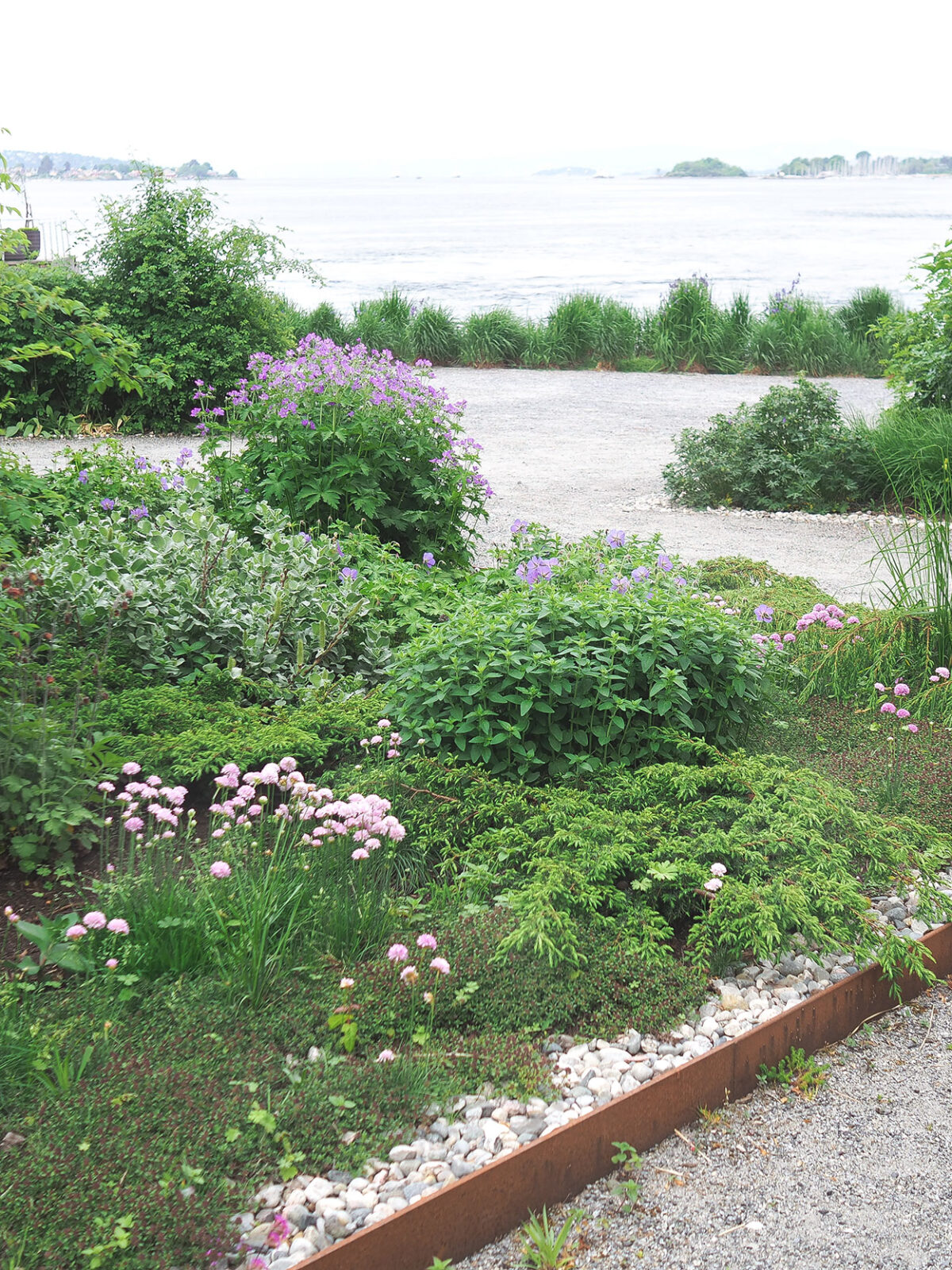 En gangvei mellom beplantning og leiligheter på Fru Kroghs brygge