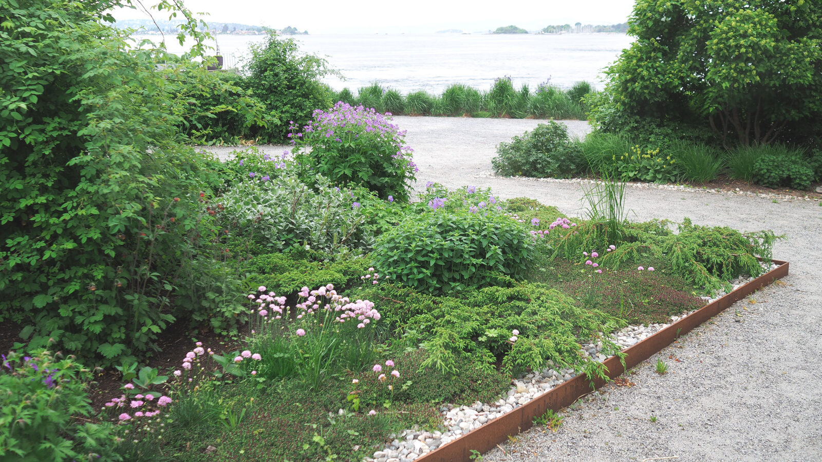 En gangvei mellom beplantning og leiligheter på Fru Kroghs brygge