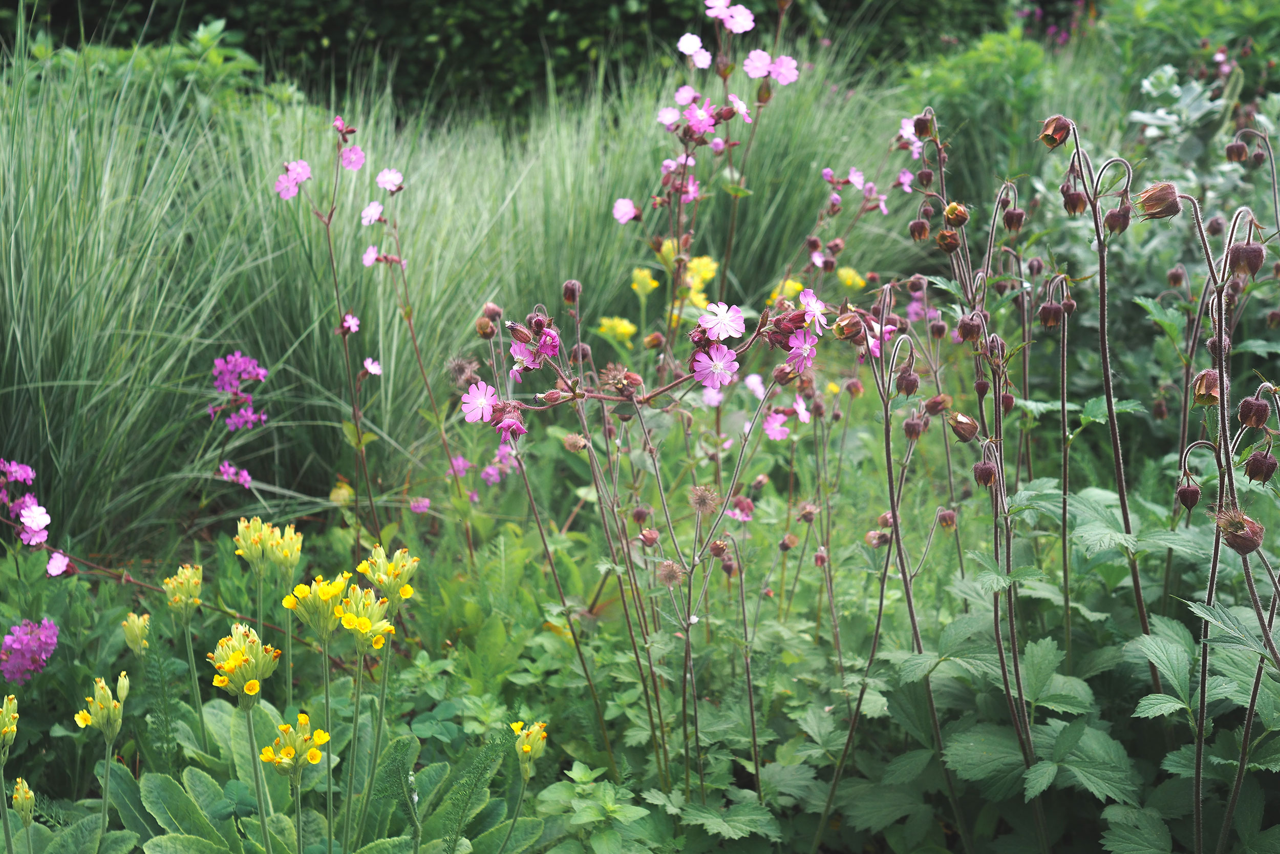 Blomsterbed på Fru Kroghs brygge