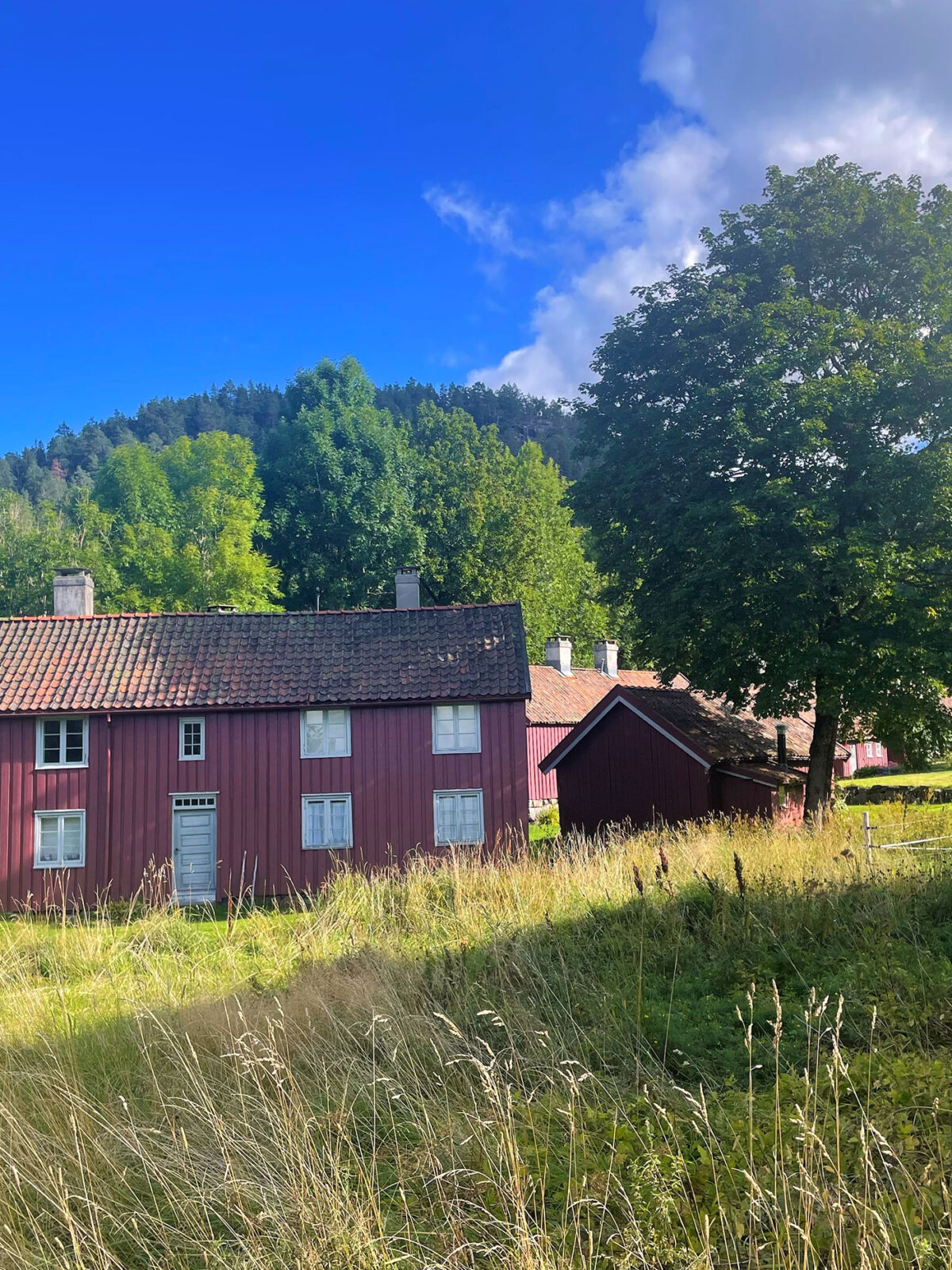 En gammel husmannsplass på landet med trær rundt. som eksempel på kulturminne.