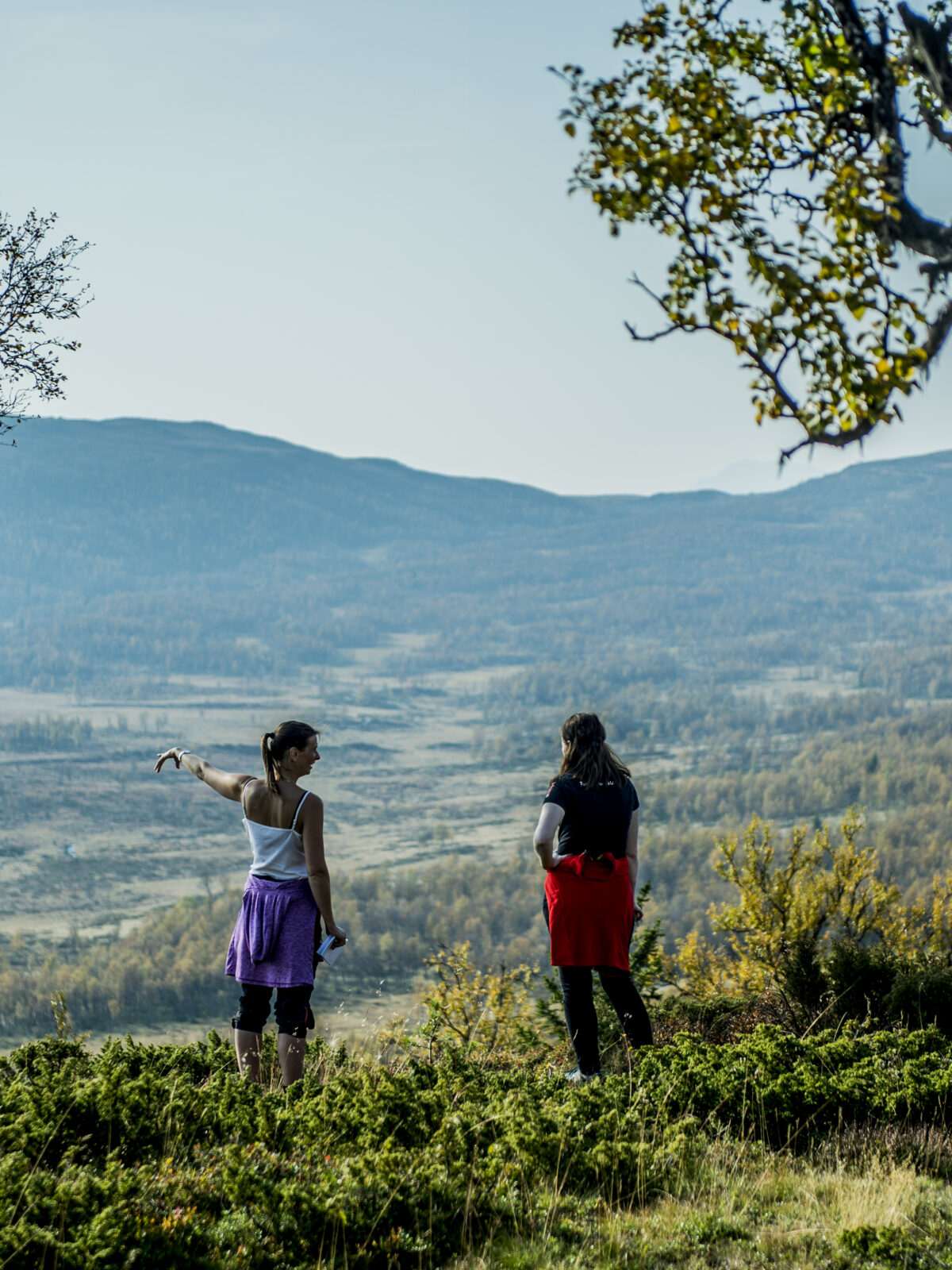 To turgåere i Langsua nasjonalpark, fra rapport om besøksforvaltning og reiselivets bruk av natur mot 2040.