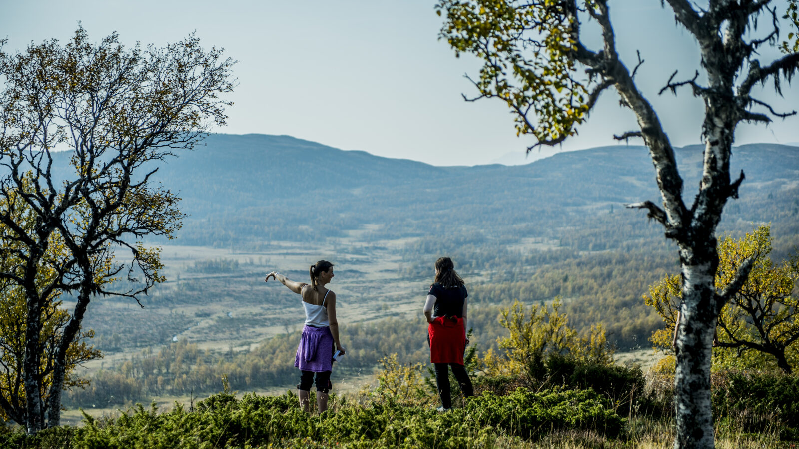 To turgåere i Langsua nasjonalpark, fra rapport om besøksforvaltning og reiselivets bruk av natur mot 2040.