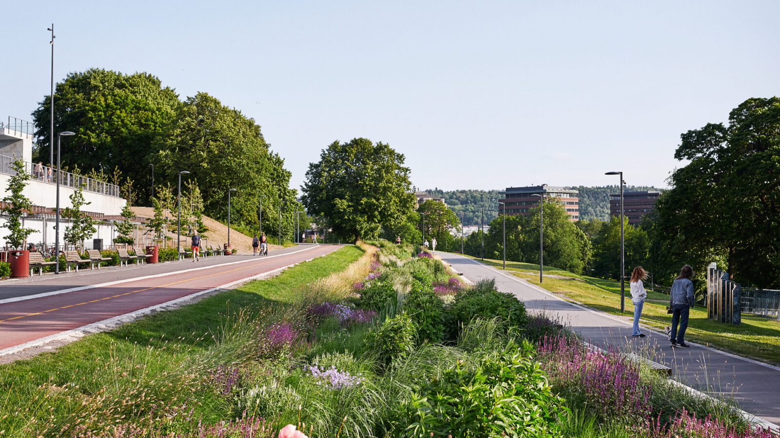 Lush flower beds stretching as far as the eye can see, between a cycle path on the left and a footpath on the right.